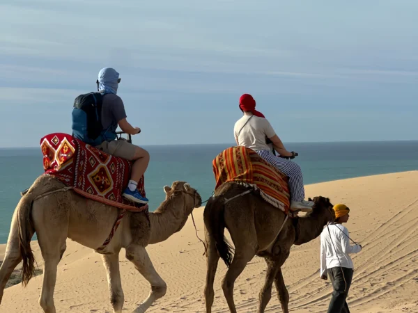Timlalin Dunes Camel Ride : Tamri Desert Tour